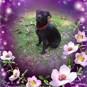 Meet your Posher, Delaine